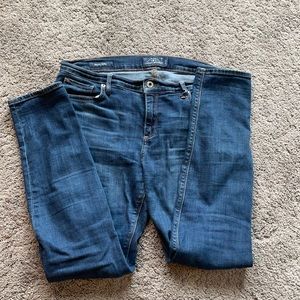 Lucky Brand Brooke skinny size 10/30